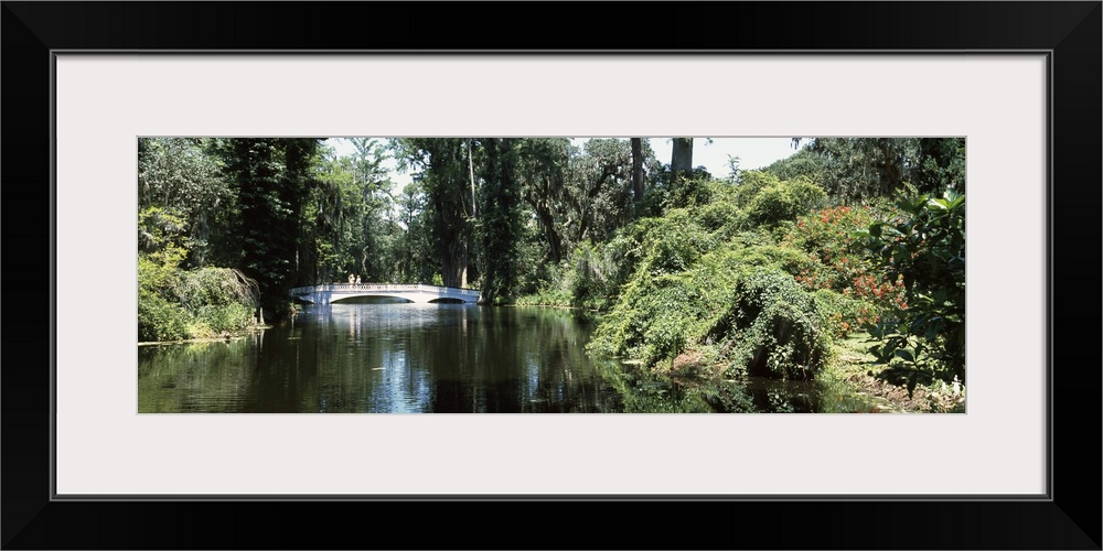 Bridge across a swamp, Magnolia Plantation and Gardens, Charleston, Charleston County, South Carolina,