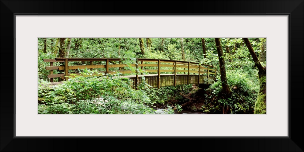 Bridge in a forest Bridal Veil Falls Oregon Columbia Gorge National Scenic Area Columbia River Gorge Oregon