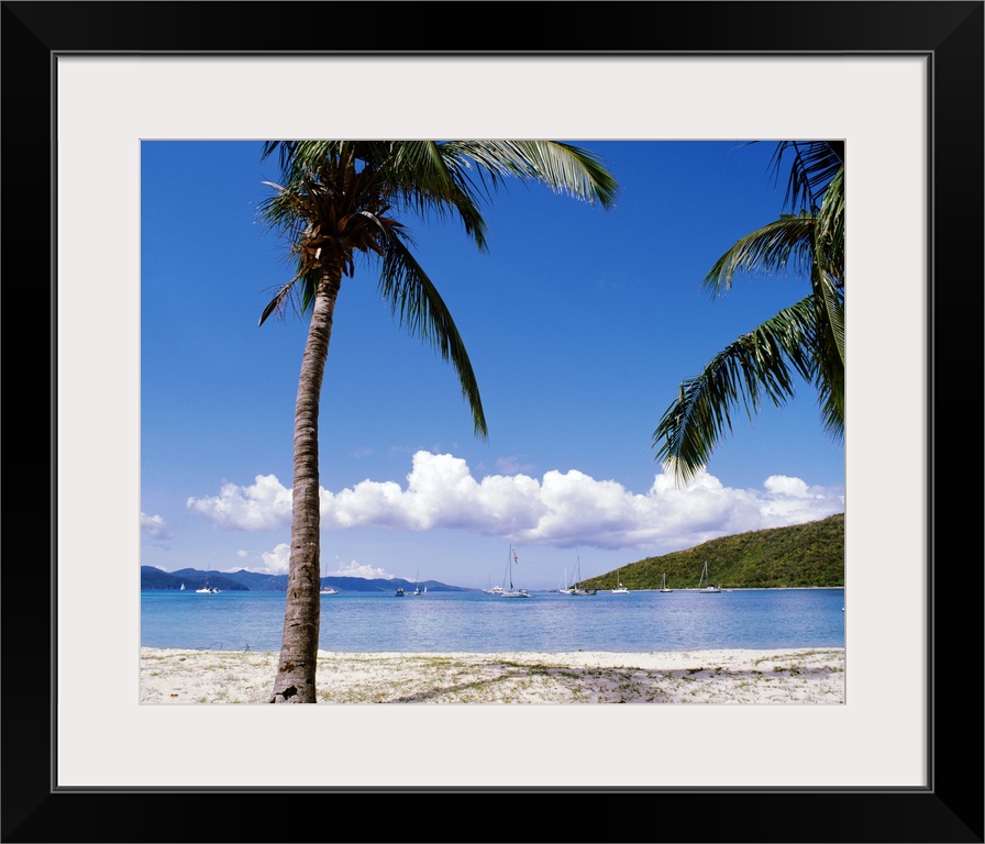 In this photograph palm trees on a beach in the foreground look out over sailboats at sea and clouds on a sunny day in the...
