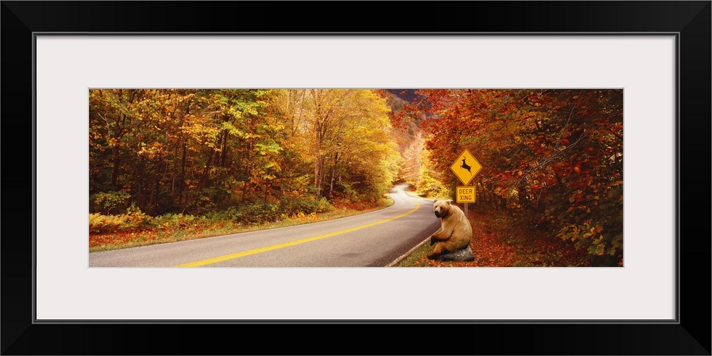 Panoramic photograph of road winding through fall forest with a posted deer crossing sign.