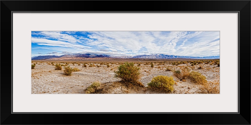 Bushes in a desert, Death Valley, Death Valley National Park, California