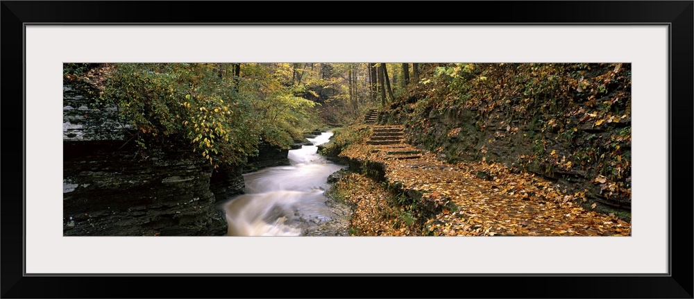 Buttermilk Creek Ithaca NY