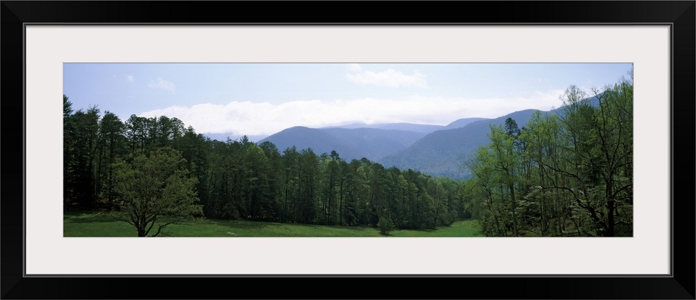 Cades Cove Great Smoky Mtns National Park TN