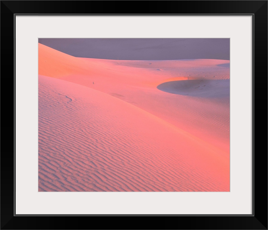 California, Algodones Dunes, Rippled sand dune in the desert