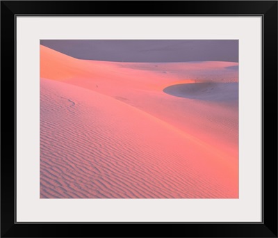 California, Algodones Dunes, Rippled sand dune in the desert