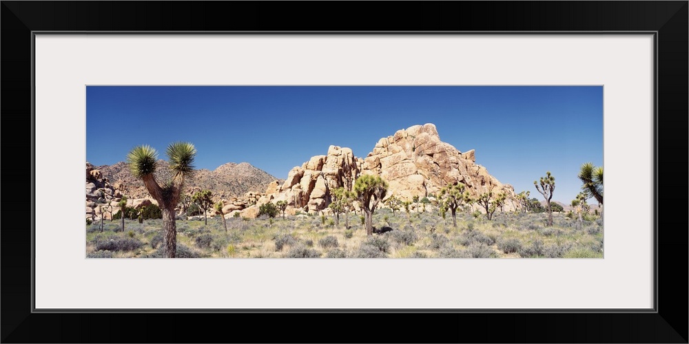 California, Joshua Tree National Monument, Rock formation in a arid landscape