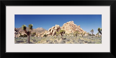 California, Joshua Tree National Monument, Rock formation in a arid landscape