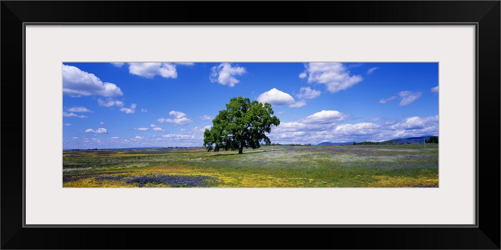 California, Oroville, Table Mountain