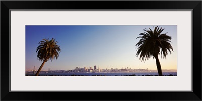 California, San Francisco, Palm trees at dusk