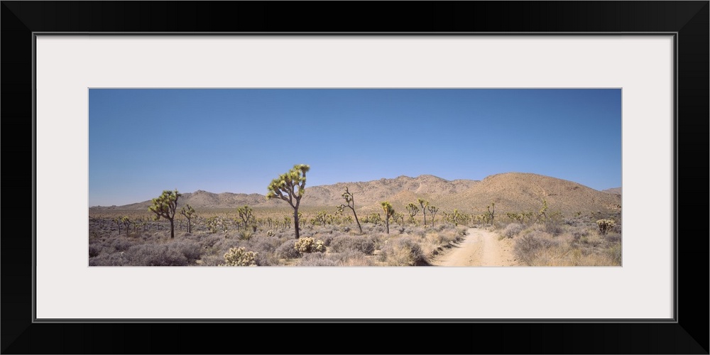 California, Sierra Nevada, Alabama Hills, Road passing through an arid landscape