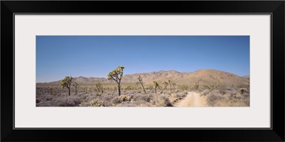 California, Sierra Nevada, Alabama Hills, Road passing through an arid landscape