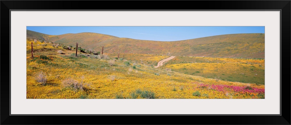 California, View of a road running through fields