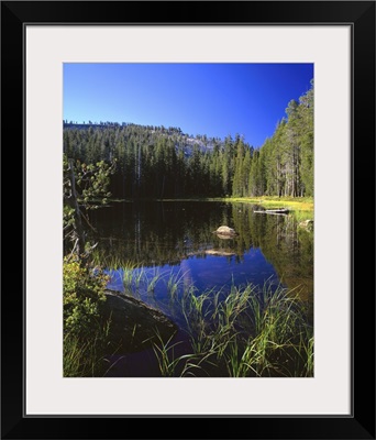 California, Yosemite National Park, Reflection of tree and mountain in the water