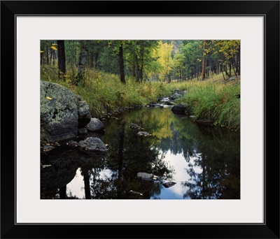 Calm water of Grace Coolidge Creek, Custer State Park, South Dakota
