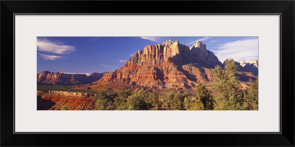 Canyon surrounded with forest, Escalante Canyon, Utah