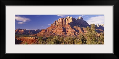 Canyon surrounded with forest, Escalante Canyon, Utah