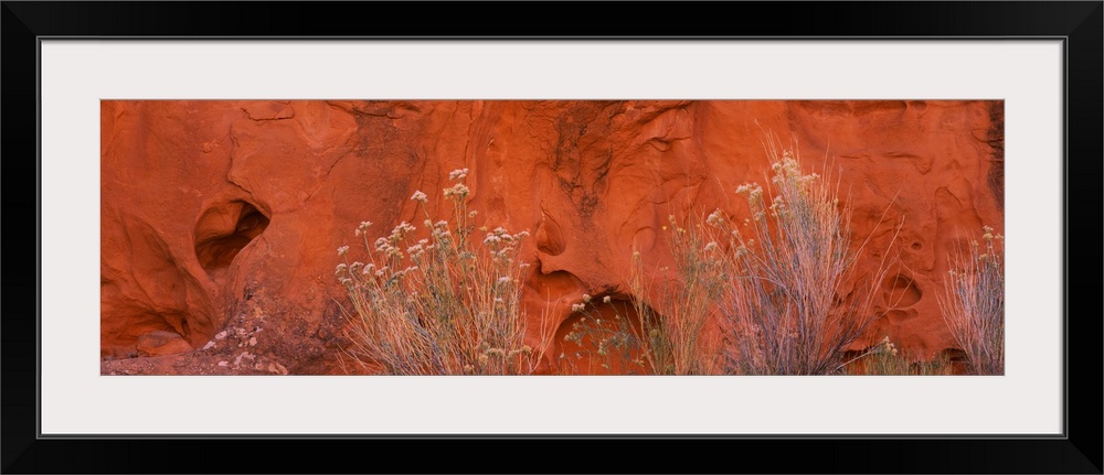 Canyon Wall Escalante Wilderness UT