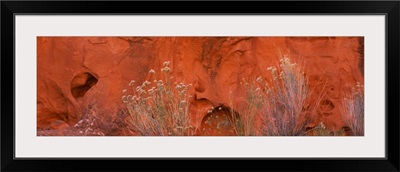 Canyon Wall Escalante Wilderness UT