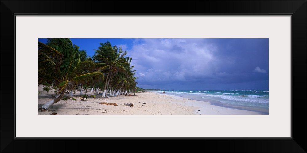 A photograph is taken looking down an ocean coast with palm trees lining the back of the beach to the left.