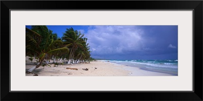 Caribbean Beach Quintana Roo Mexico