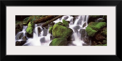 Cascading waterfall in a rainforest, Olympic National Park, Washington State,