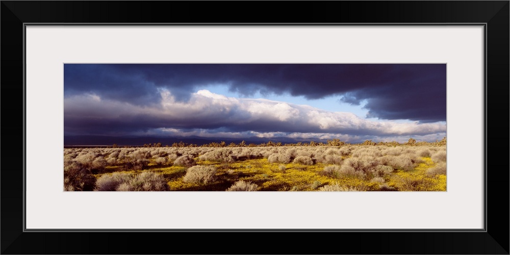 Clouds Mojave Desert CA