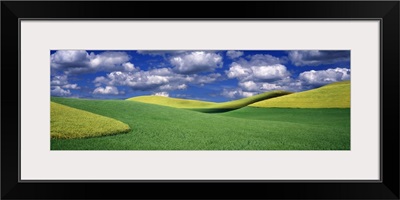 Clouds over a canola field, Palouse, Washington State