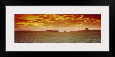 Clouds over a soybean field, Albert Lea Township, Freeborn County, Minnesota