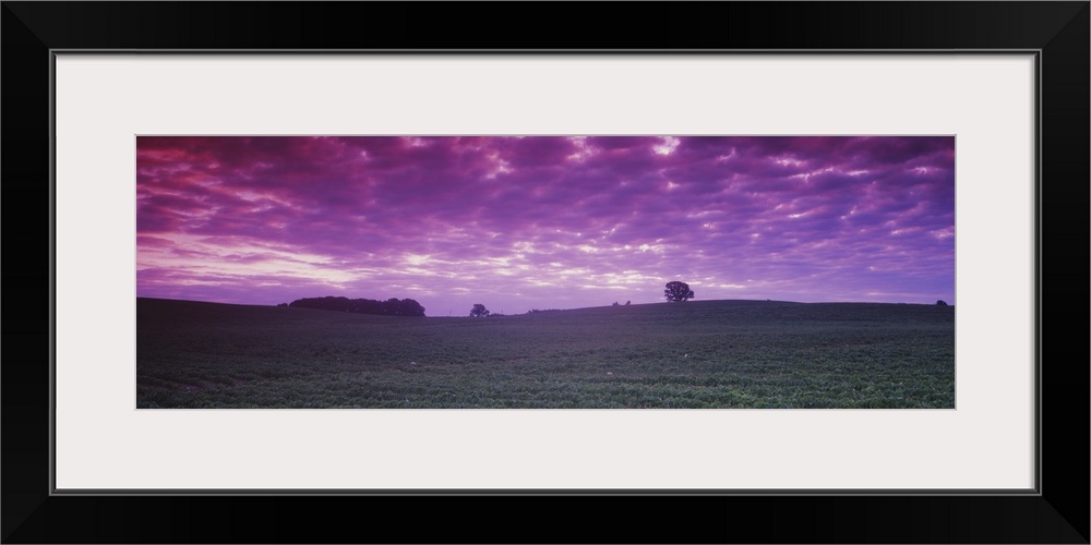 Clouds over a soybean field, Albert Lea Township, Freeborn County, Minnesota