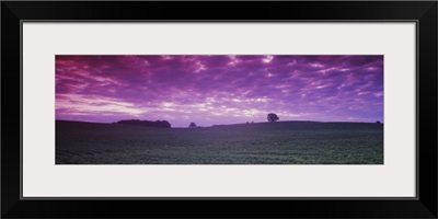 Clouds over a soybean field, Albert Lea Township, Freeborn County, Minnesota