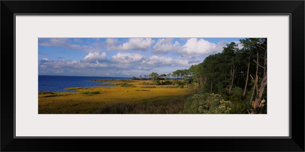 Cloudy sky over a forest, Four Hole Swamp, Francis Beidler Forest, South Carolina