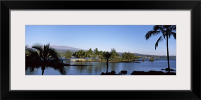 Coconut palm trees on an island, Coconut Island, Hilo, Maui, Hawaii