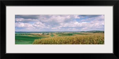 Corn and alfalfa fields, Green County, Wisconsin