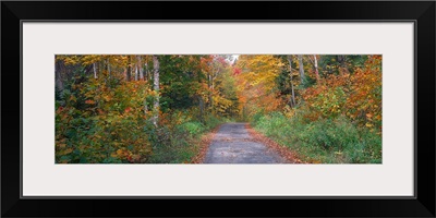 Country road passing through a forest, Adirondack Park, Franklin County, New York State,