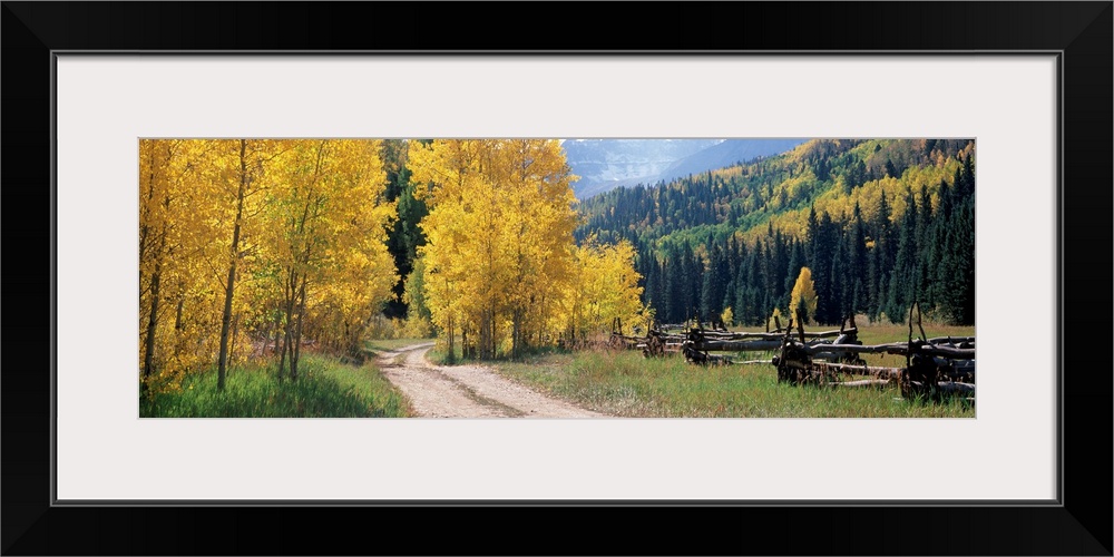 Country road passing through mountain, Ridgway, Ouray County, Colorado, USA