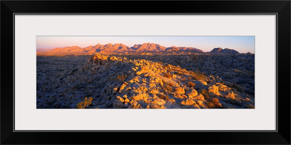 Coxcomb Mountains Joshua Tree National Park CA