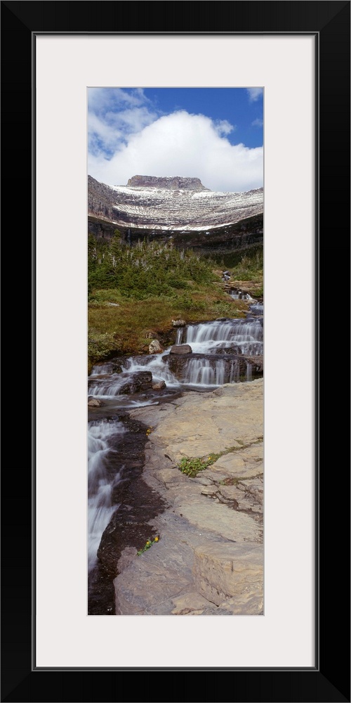 Creek flowing in a park, Haystack Creek, Garden Wall, Continental Divide, US Glacier National Park, Montana, USA