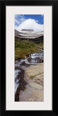 Creek flowing in a park, Haystack Creek, US Glacier National Park, Montana