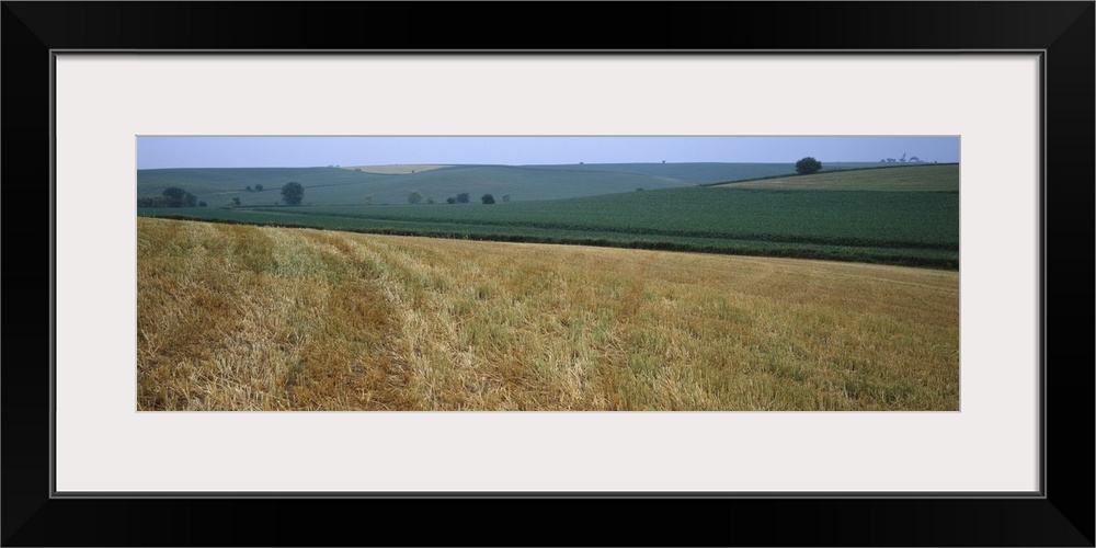 Crop on a rolling landscape, Iowa County, Iowa