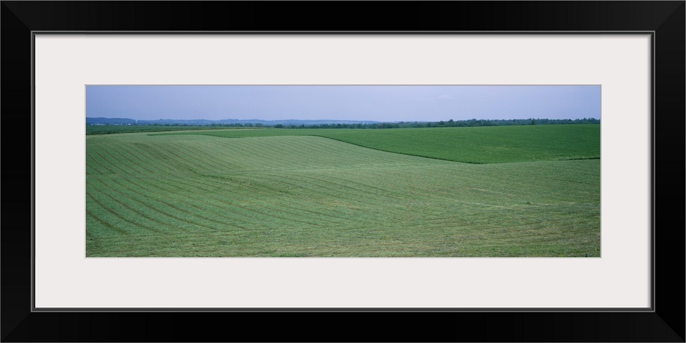 Crop on a rolling landscape, Iowa County, Iowa