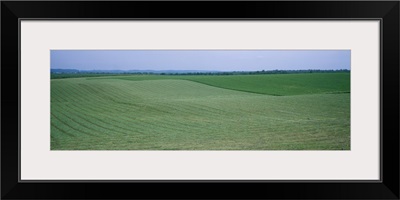 Crop on a rolling landscape, Iowa County, Iowa