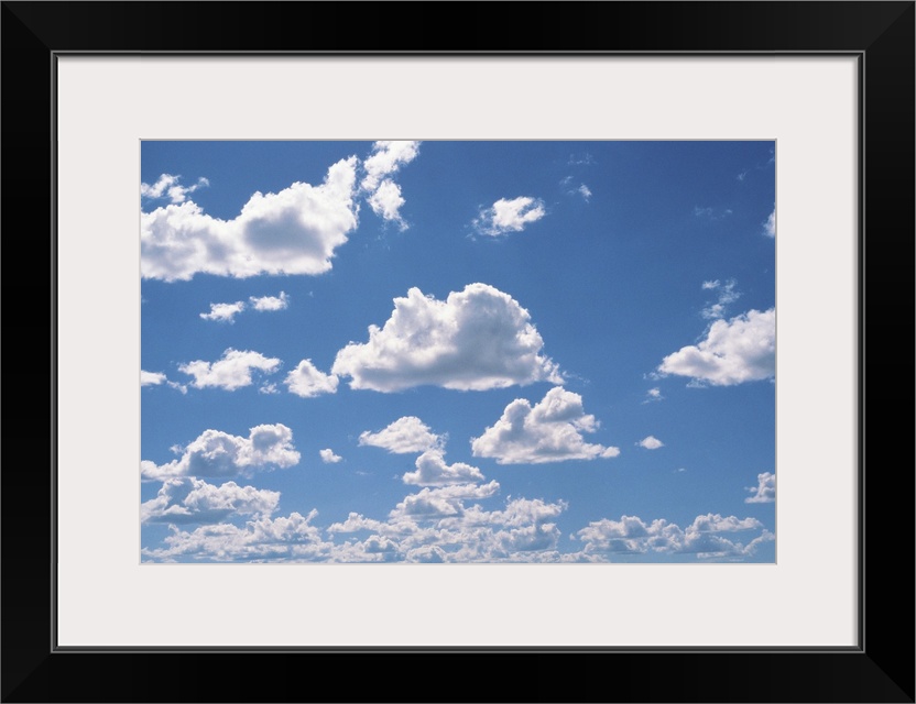 Cumulus Clouds