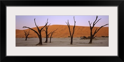 Dead trees in a desert at sunrise Dead Vlei Sossusvlei Namib Naukluft National Park Namibia