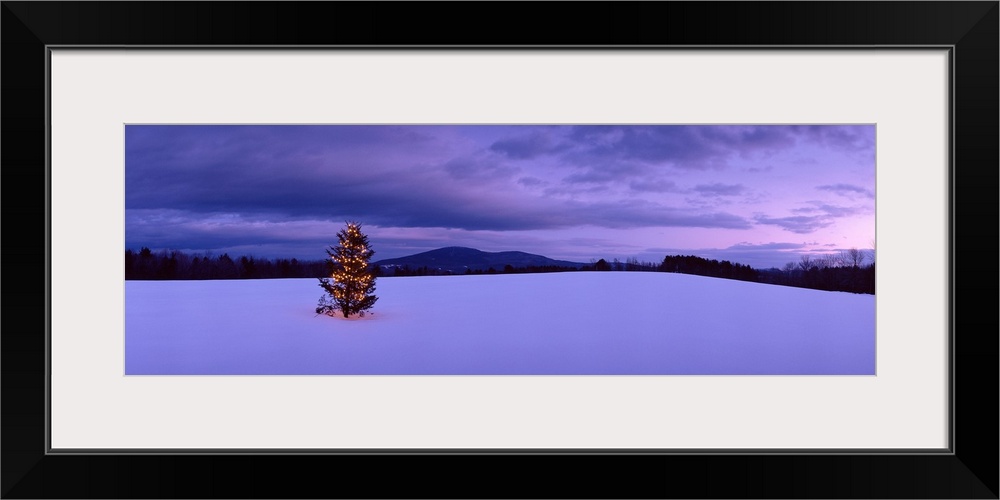 This panoramic photograph captures the most festive tree in New England with the sunset reflecting of the winter clouds in...