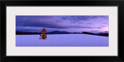 Decorated Christmas tree in a snow covered landscape, New London, New Hampshire