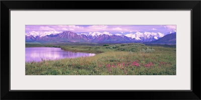 Denali National Park AK