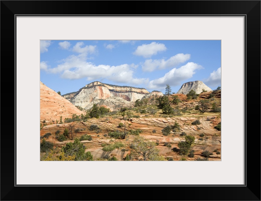 Desert Landscape