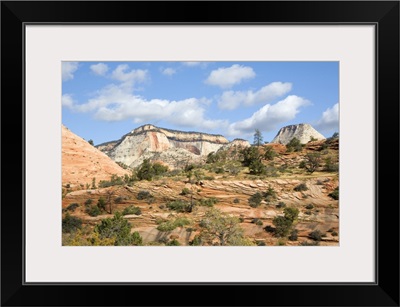 Desert Landscape