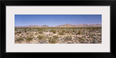 Desert nr Death Valley CA