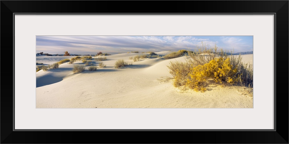 Desert plants in a desert White Sands National Monument New Mexico